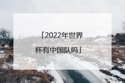 「2022年世界杯有中国队吗」中国队进2022年世界杯了吗