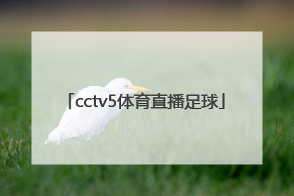 「cctv5体育直播足球」cctv5+直播在线观看足球